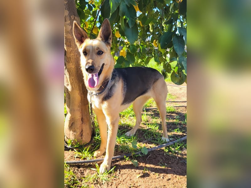 Perla, sucht ihre Familie
