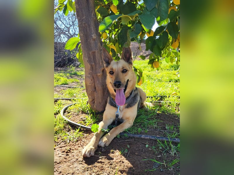 Perla, sucht ihre Familie