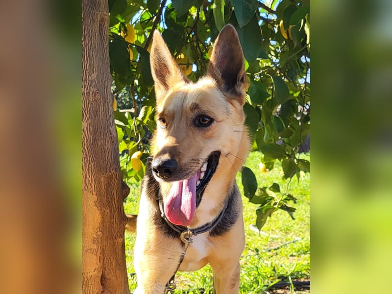 Perla, sucht ihre Familie