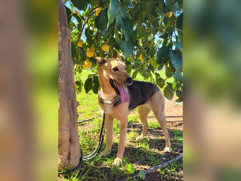 Perla, sucht ihre Familie