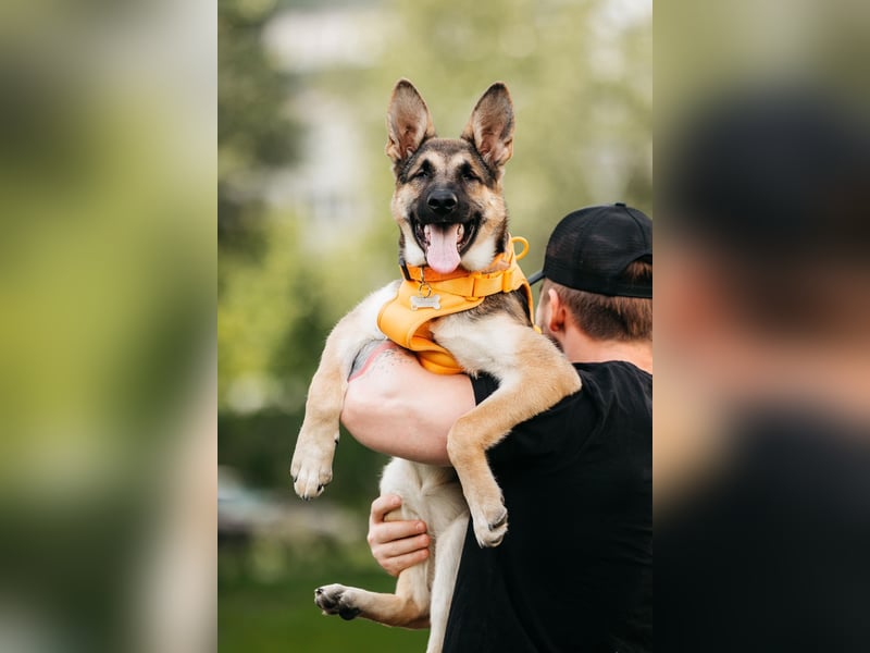 Besondere Deya sucht warmes Körbchen
