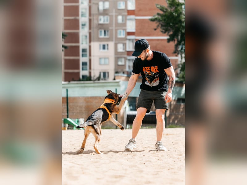 Besondere Deya sucht warmes Körbchen