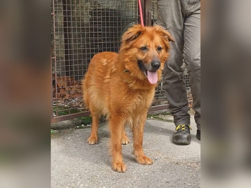 Zsömi sucht souveräne Menschen