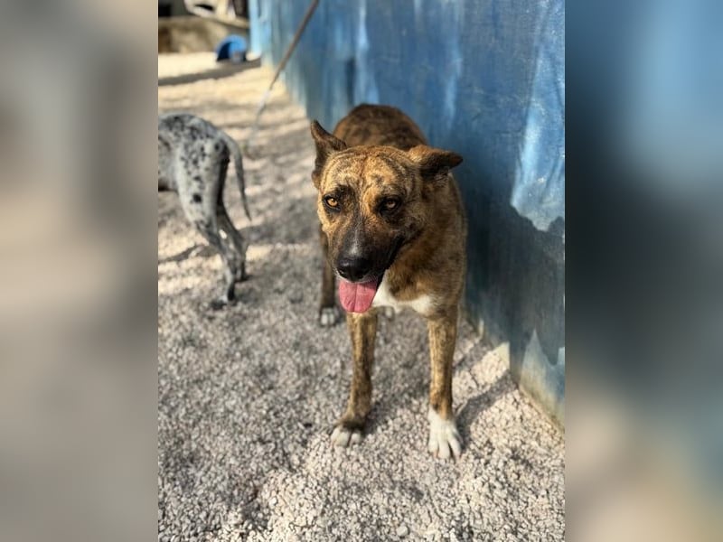 Bimba, wird immer übersehen