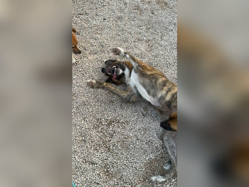 Bimba, wird immer übersehen