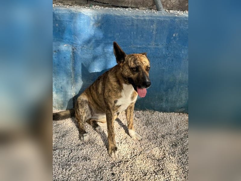 Bimba, wird immer übersehen