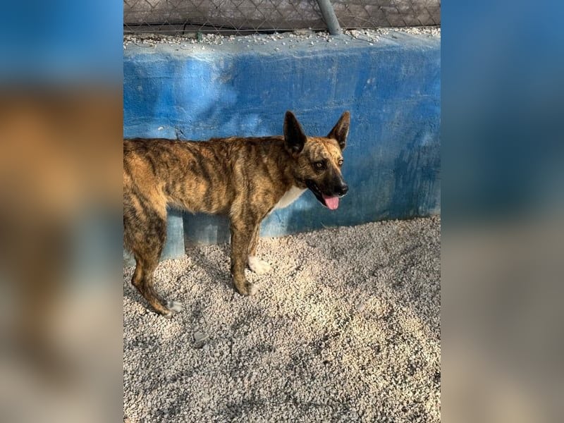 Bimba, wird immer übersehen