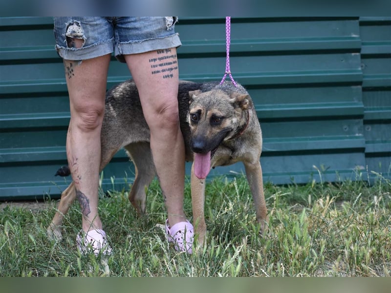 Gréti-VI, junge Mama wünscht sich ein Zuhause