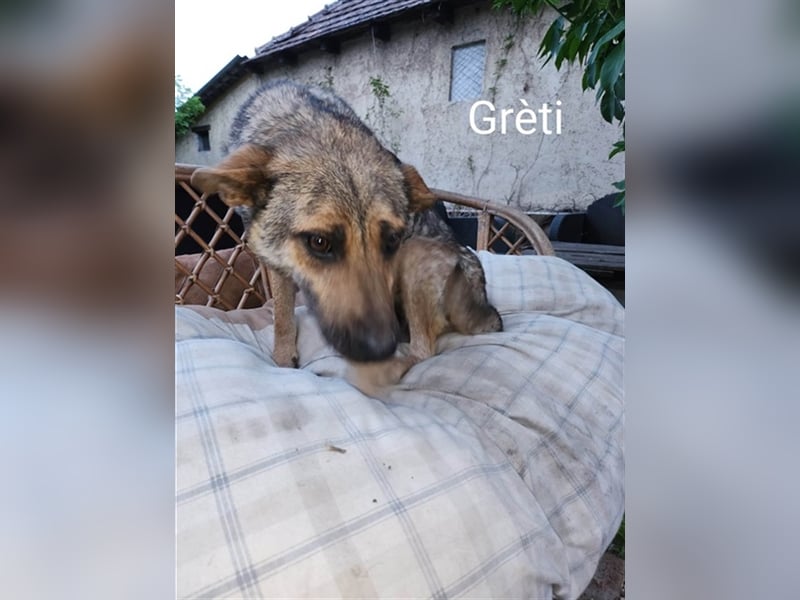 Gréti-VI, junge Mama wünscht sich ein Zuhause