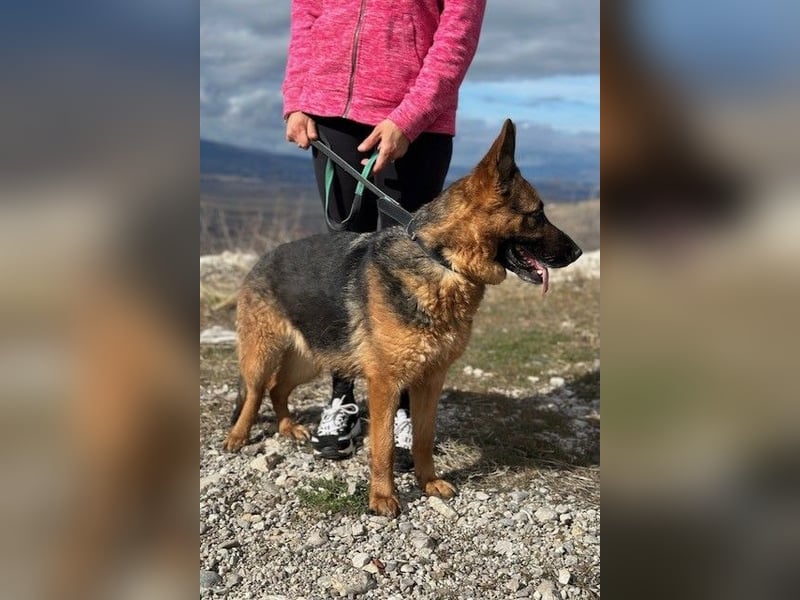 Karma hat das Schicksal zu uns geführt 