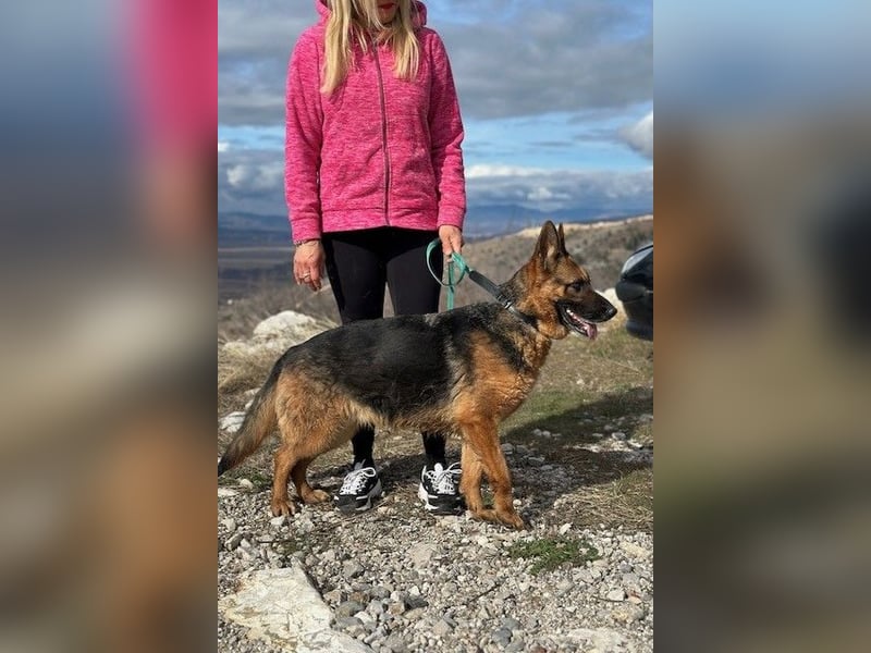 Karma hat das Schicksal zu uns geführt 