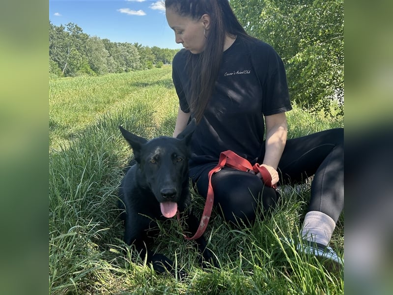 Nori sucht ihre ❤️-menschen