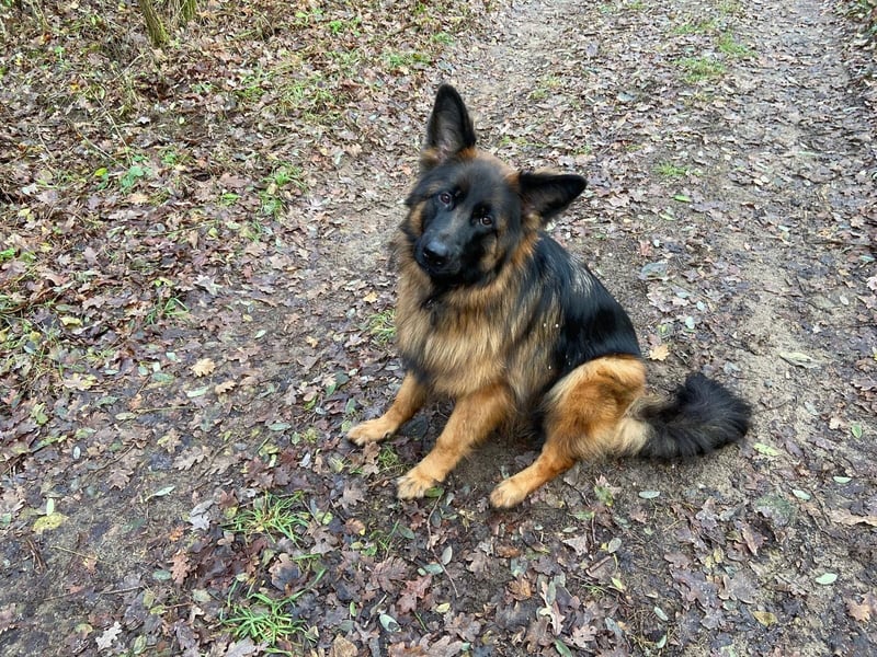 Carlotta