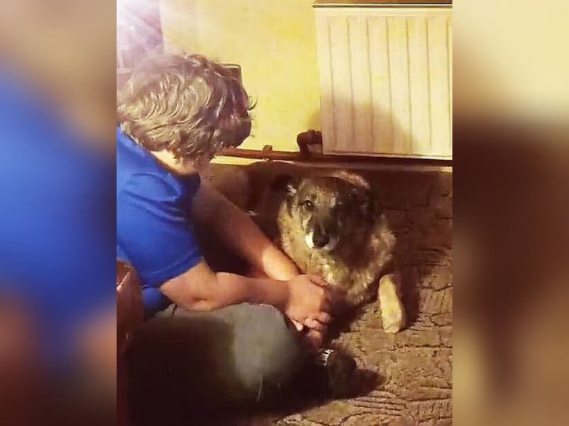 Angeli musste nach 28 Stunden gehen...
