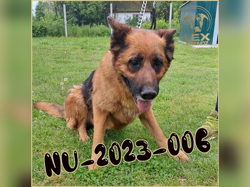 NU-2023-006 gibt sich auf