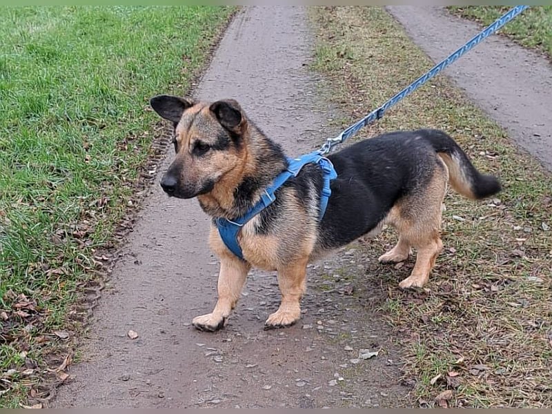 "Berny" er zaubert jeden ein lächeln ins Gesicht