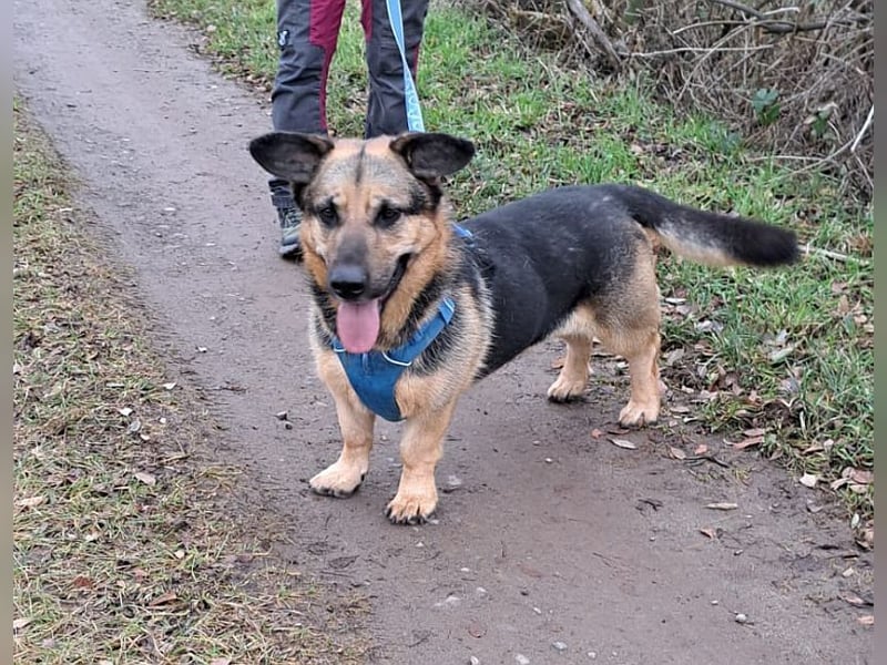 "Berny" er zaubert jeden ein lächeln ins Gesicht