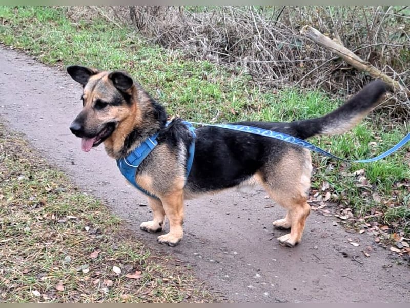 "Berny" er zaubert jeden ein lächeln ins Gesicht