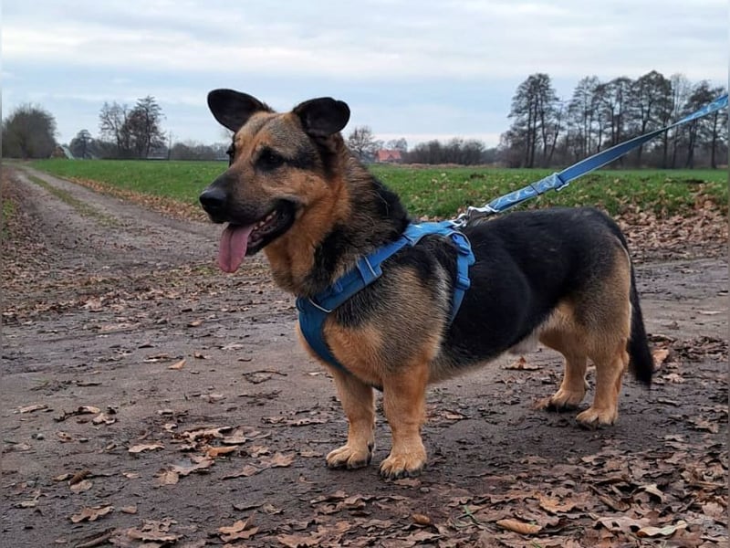"Berny" er zaubert jeden ein lächeln ins Gesicht