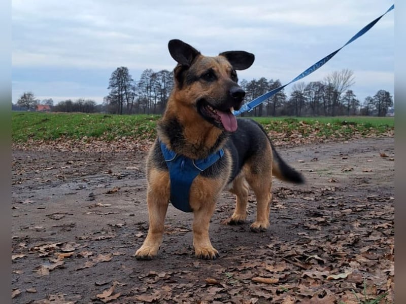 "Berny" er zaubert jeden ein lächeln ins Gesicht