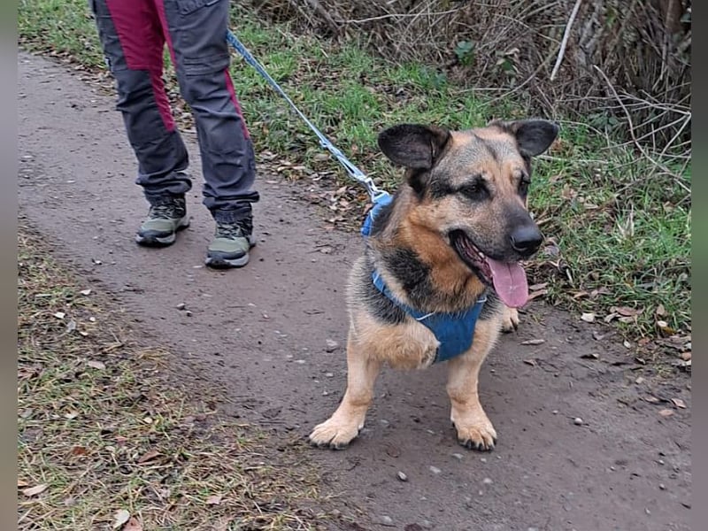 "Berny" er zaubert jeden ein lächeln ins Gesicht