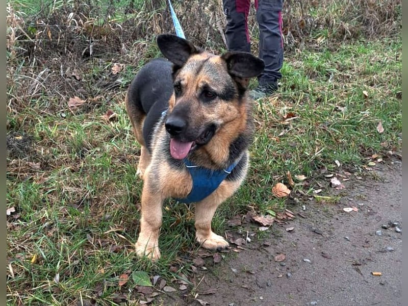 "Berny" er zaubert jeden ein lächeln ins Gesicht