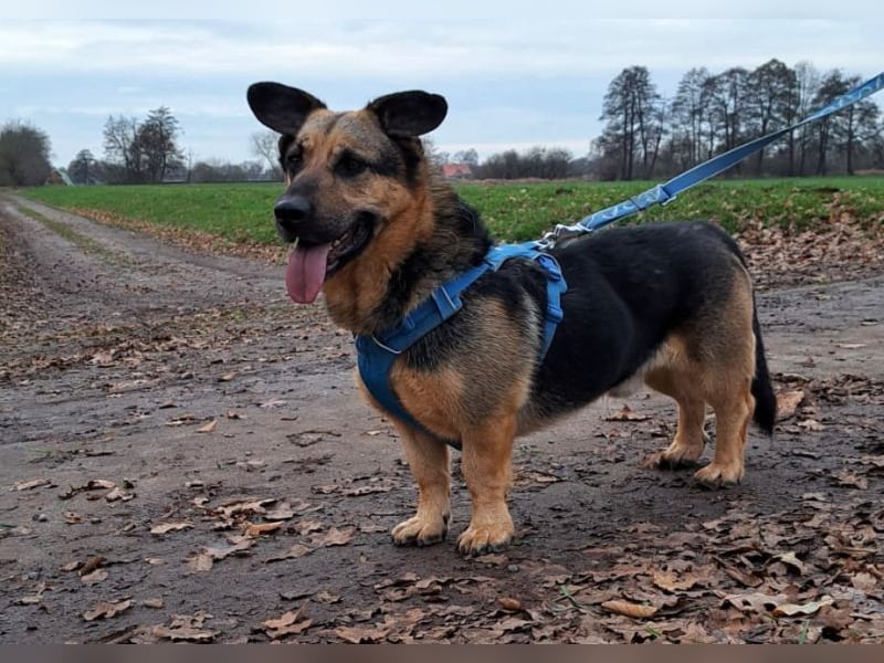 "Berny" er zaubert jeden ein lächeln ins Gesicht