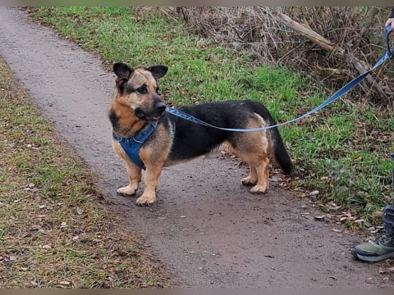 "Berny" er zaubert jeden ein lächeln ins Gesicht
