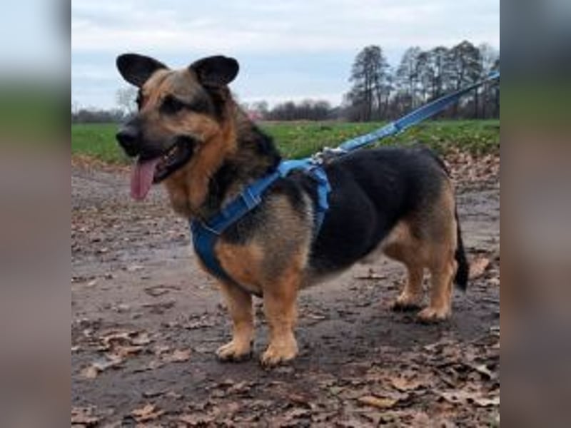 "Berny" er zaubert jeden ein lächeln ins Gesicht