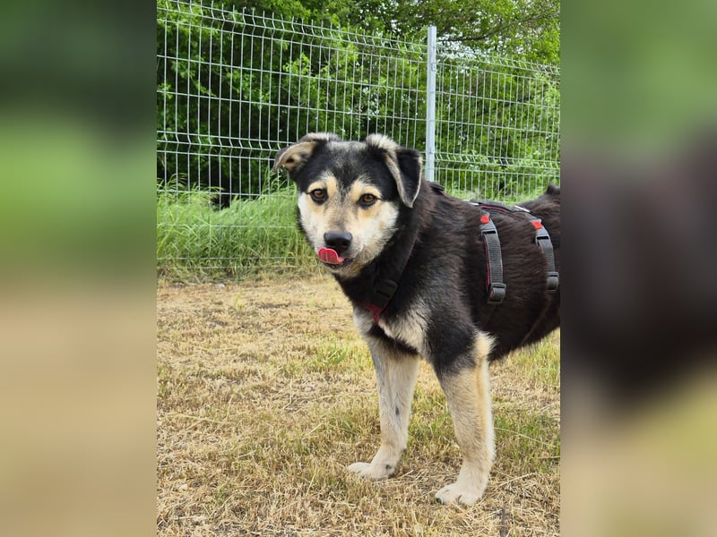 Süßer Vince sucht neuen Wirkungskreis
