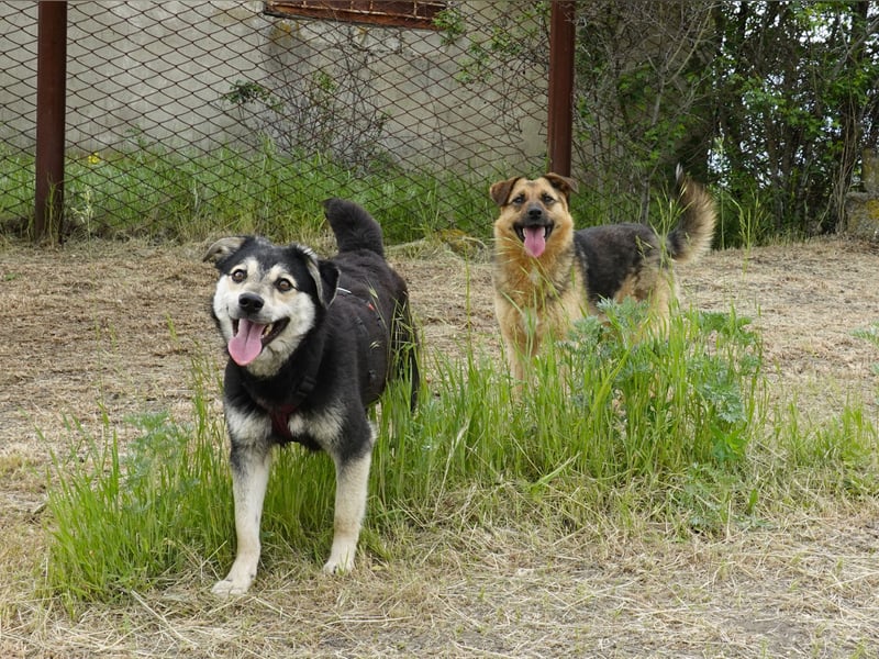 Süßer Vince sucht neuen Wirkungskreis