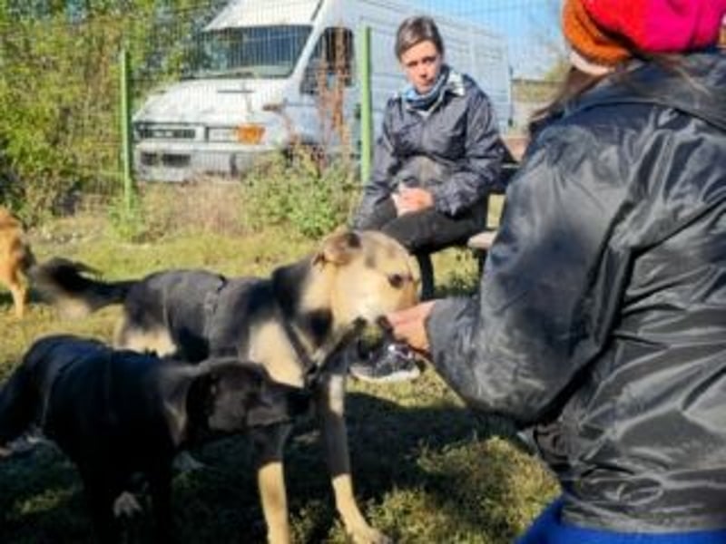 HENRIETTA-sanfte Seele auf der Suche nach Vertrauen und Liebe