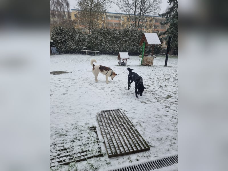 2 wundervolle Mädchen