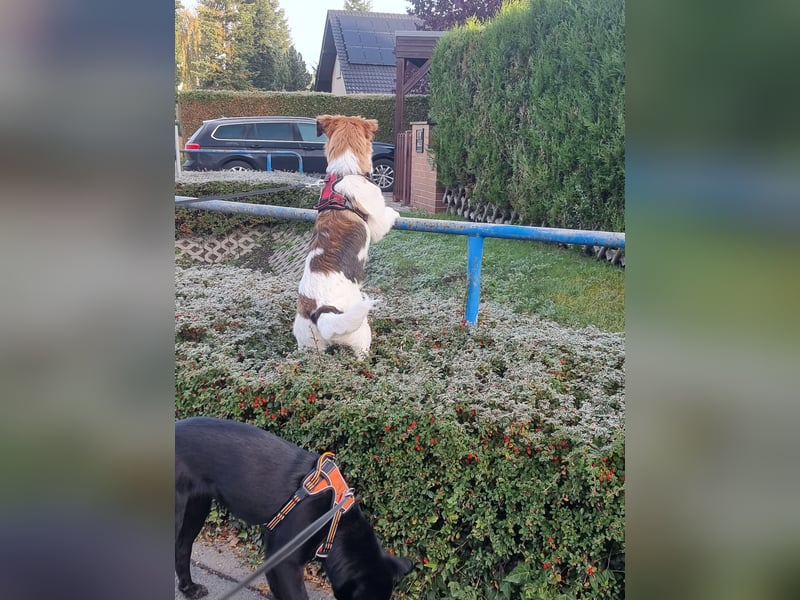 2 wundervolle Mädchen