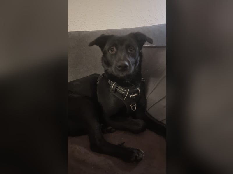 2 wundervolle Mädchen