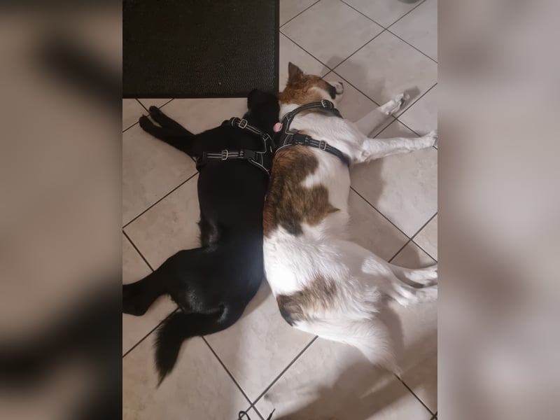 2 wundervolle Mädchen