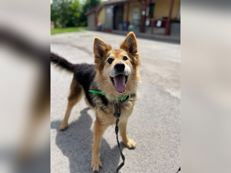 Die arme  Hédi hat ein ganz besonders trauriges Schicksal !