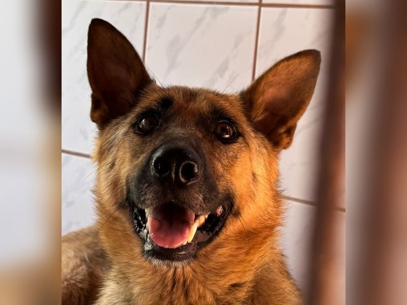 Zierliche kleine Roxy hat alles verloren !