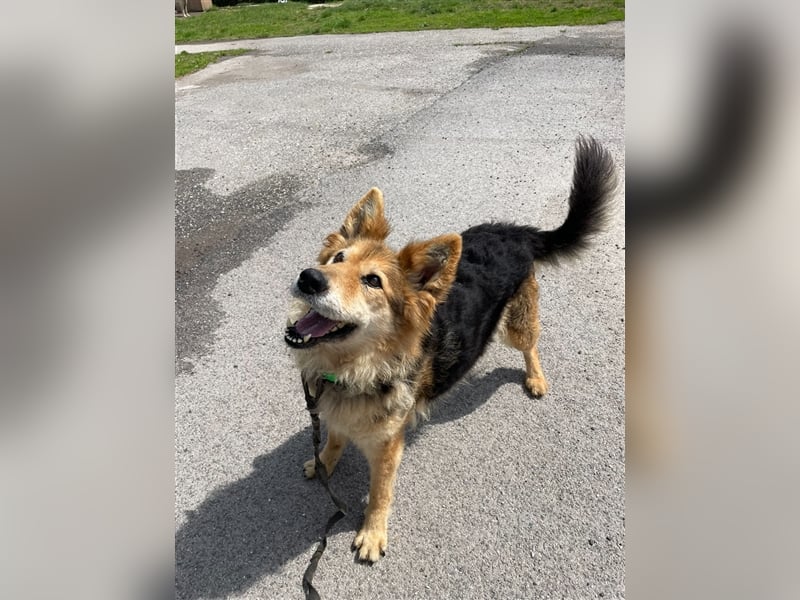 Die arme  Hédi hat ein ganz besonders trauriges Schicksal !