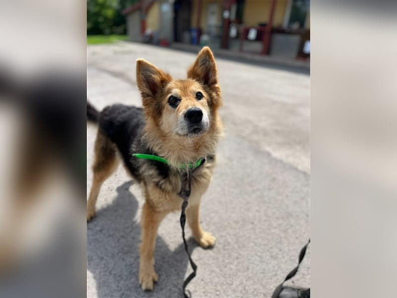 Die arme  Hédi hat ein ganz besonders trauriges Schicksal !