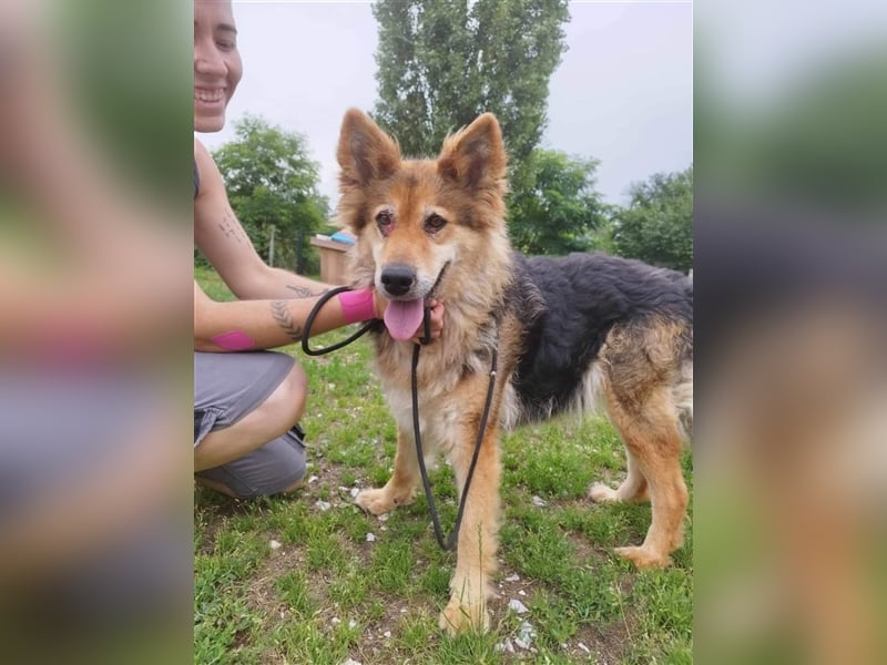 Die arme  Hédi hat ein ganz besonders trauriges Schicksal !