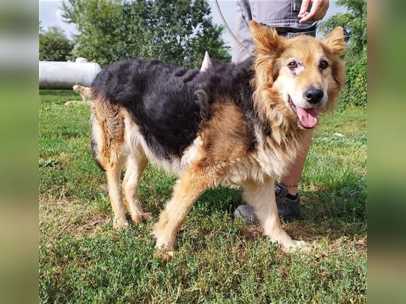 Die arme  Hédi hat ein ganz besonders trauriges Schicksal !