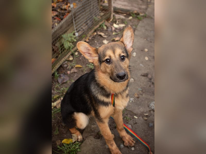 Jutta ist bereit für das größte Abenteuer ihres Lebens