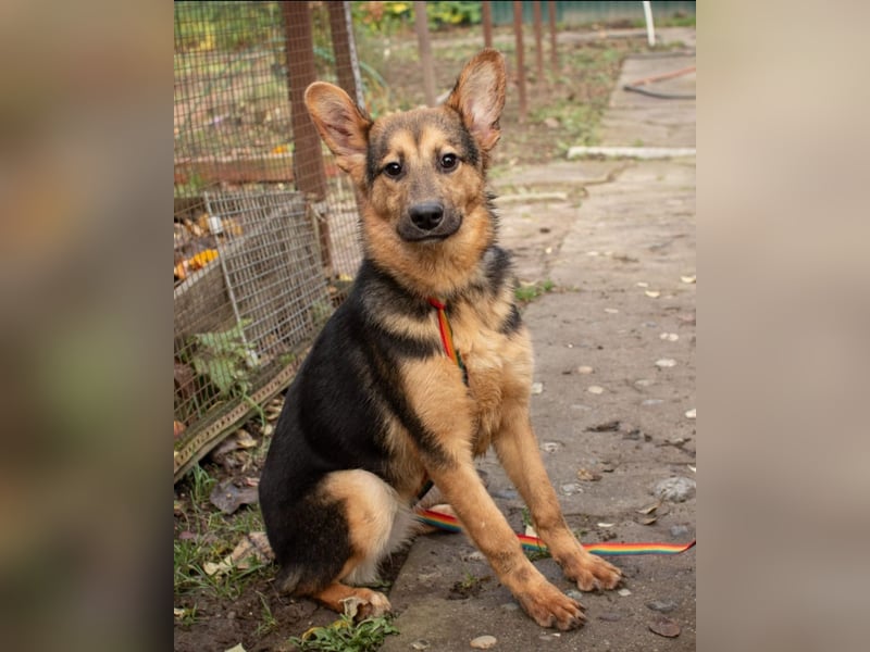 Jutta ist bereit für das größte Abenteuer ihres Lebens