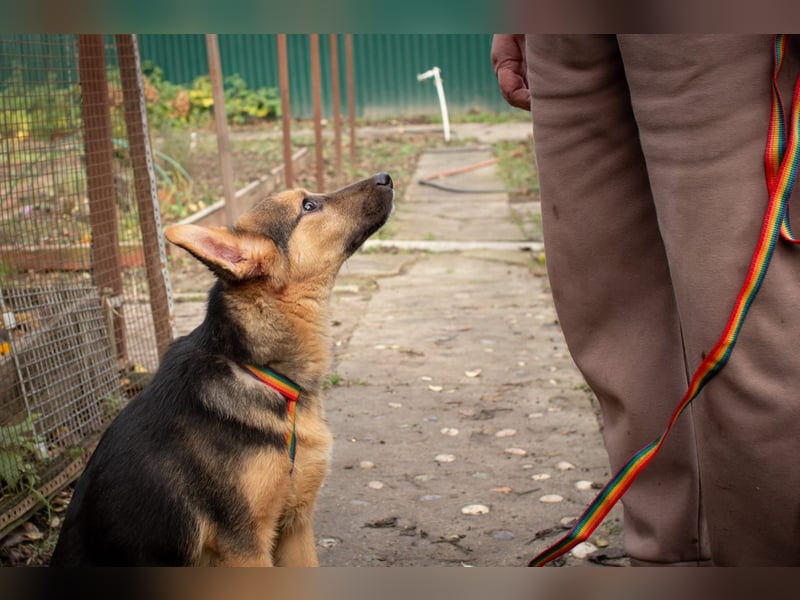 Jutta ist bereit für das größte Abenteuer ihres Lebens