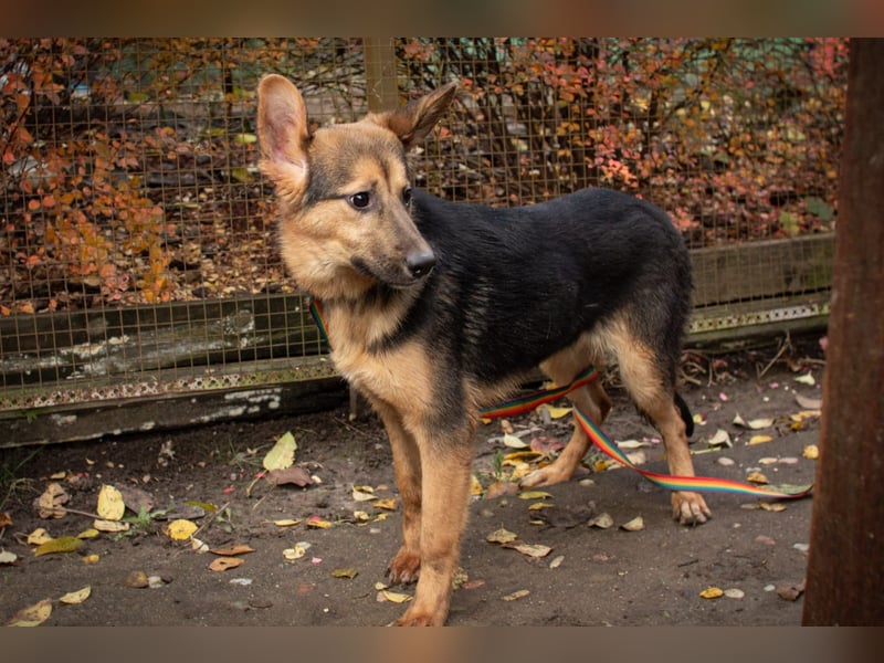 Jutta ist bereit für das größte Abenteuer ihres Lebens