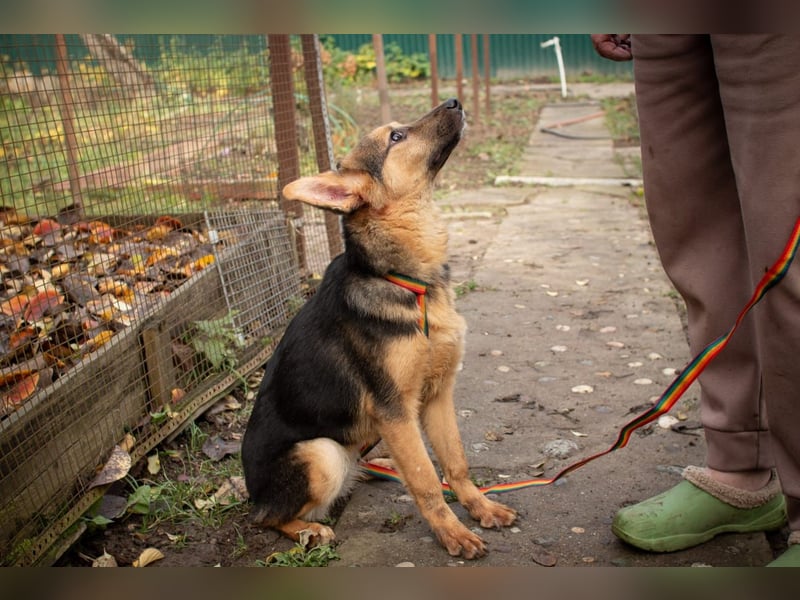 Jutta ist bereit für das größte Abenteuer ihres Lebens
