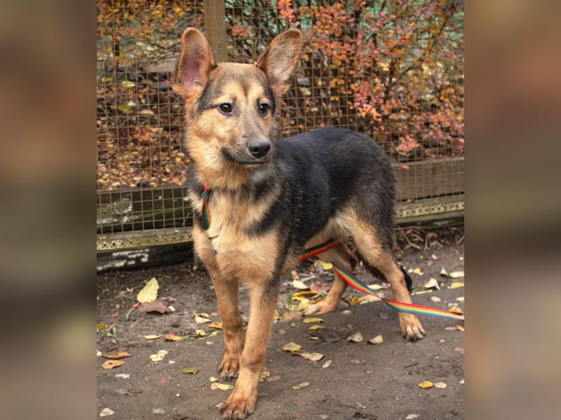 Jutta ist bereit für das größte Abenteuer ihres Lebens