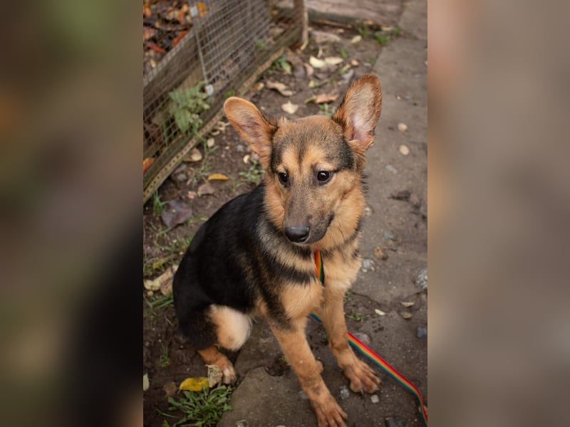 Jutta ist bereit für das größte Abenteuer ihres Lebens