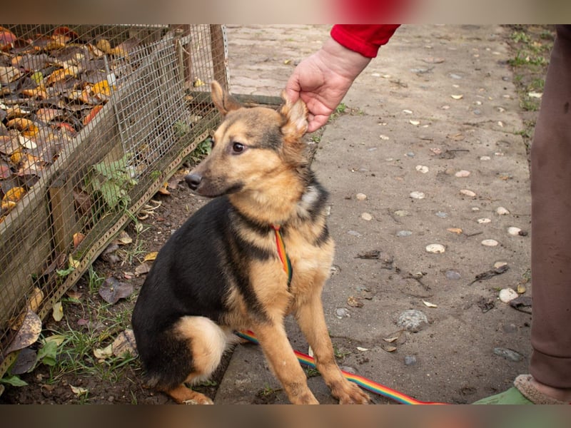 Jutta ist bereit für das größte Abenteuer ihres Lebens
